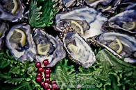 Fotografi Matrimoni Reggio Emilia